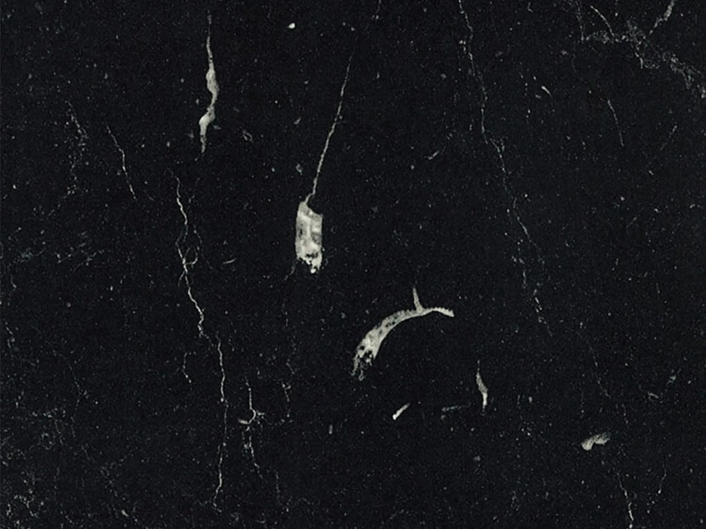 Felsőszekrény  Lesana 1 (fehér) 80 G-72 2 F . 1063898