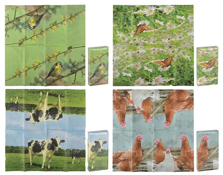 Állatmintás zsebkendő, bocis