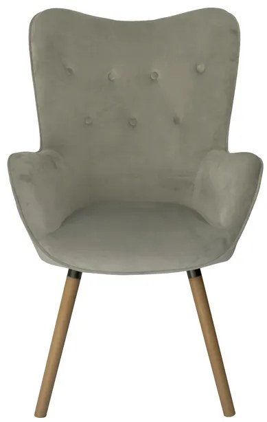 Világosszürke bársony fotel COZY