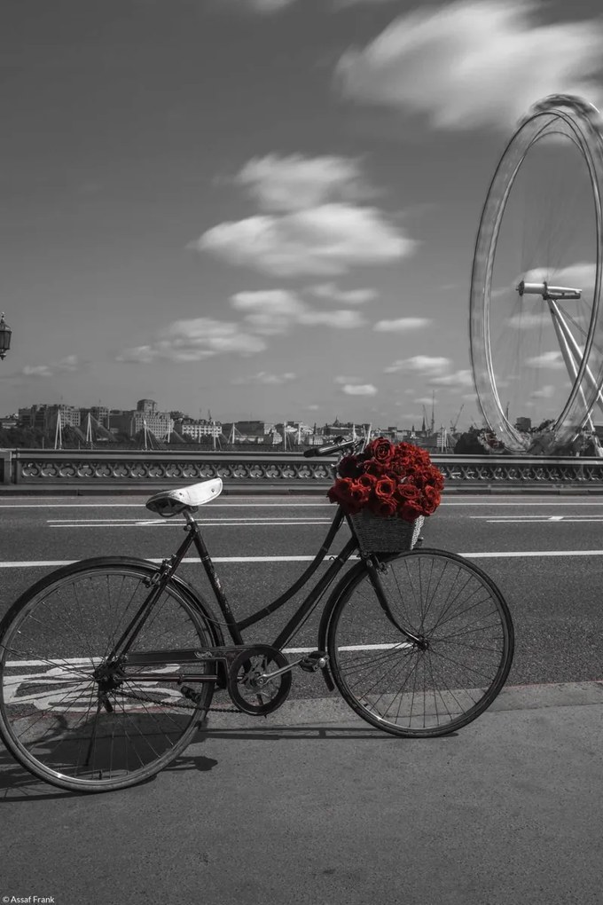 Poszter 20x30cm Kerékpár virágcsokorral a londoni Westminster hídon