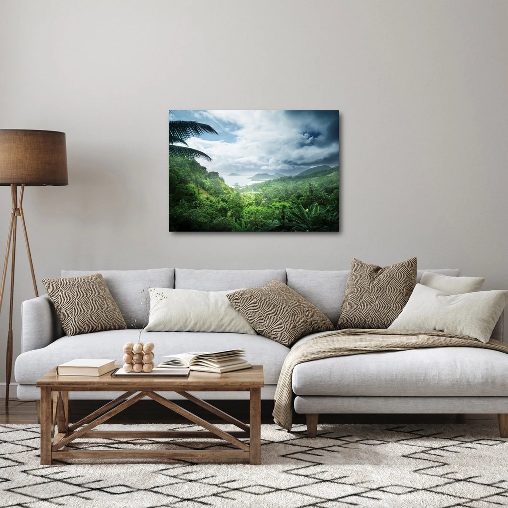 Kép - Seychelle-szigetek, dzsungel (70x50 cm)