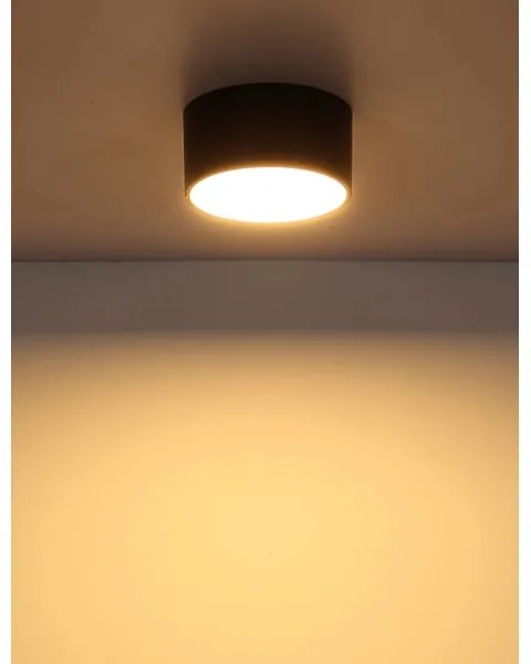 Globo 56964S - LED mennyezeti lámpa RAYMOND LED/12W/230V 3000K átm. 15 cm fekete