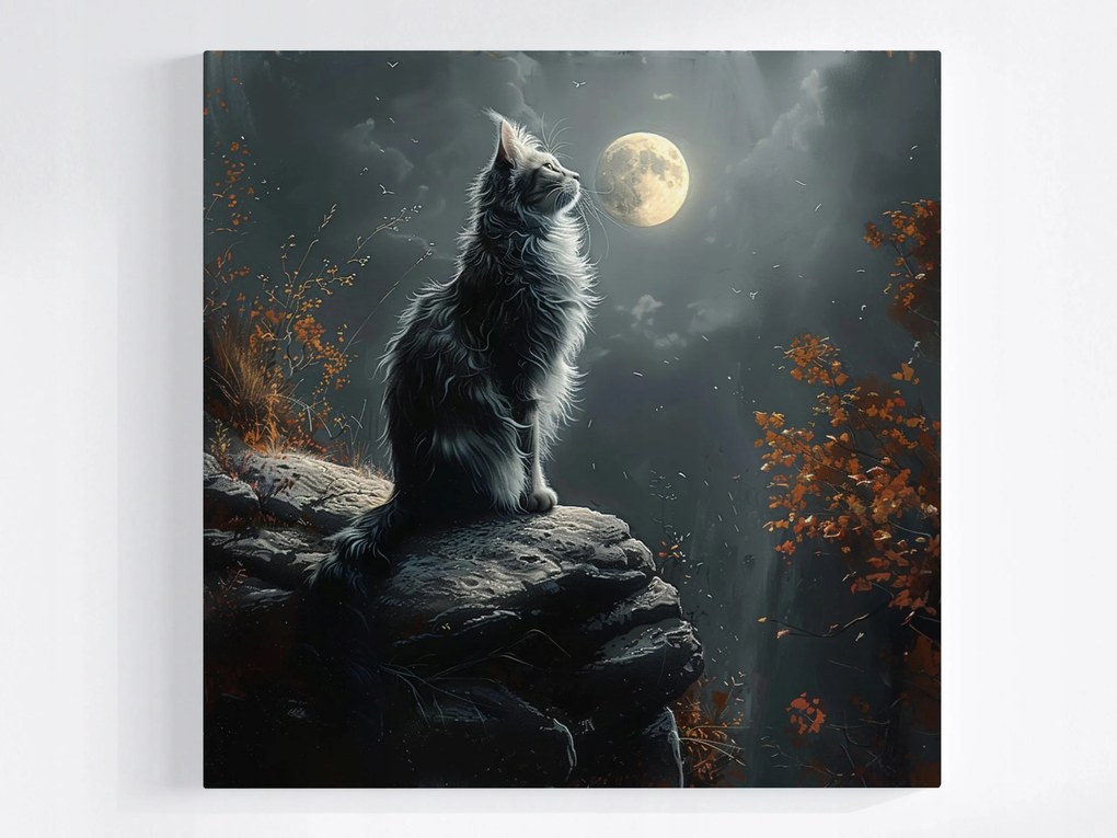 Vászonkép Canvas Éjszaka Sötét Ég Hold Szürke Macska 80x80
