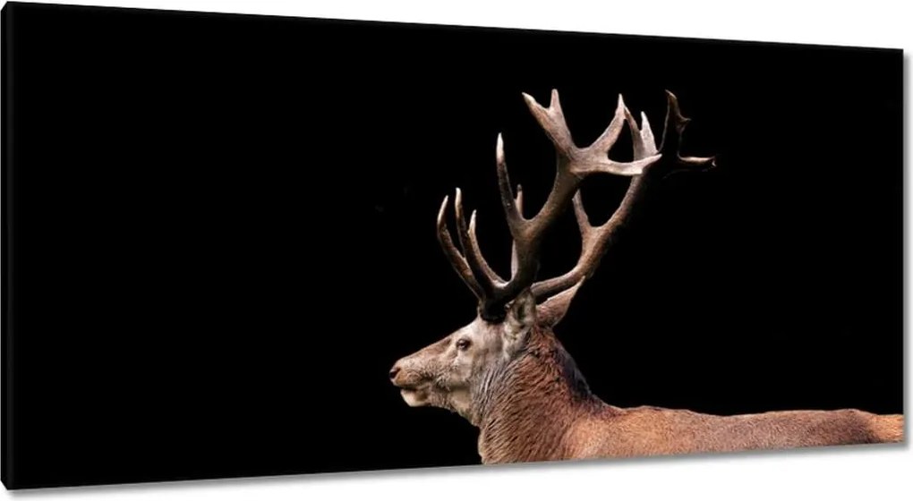 Vászonkép 115x55 Szarvas szarvakkal