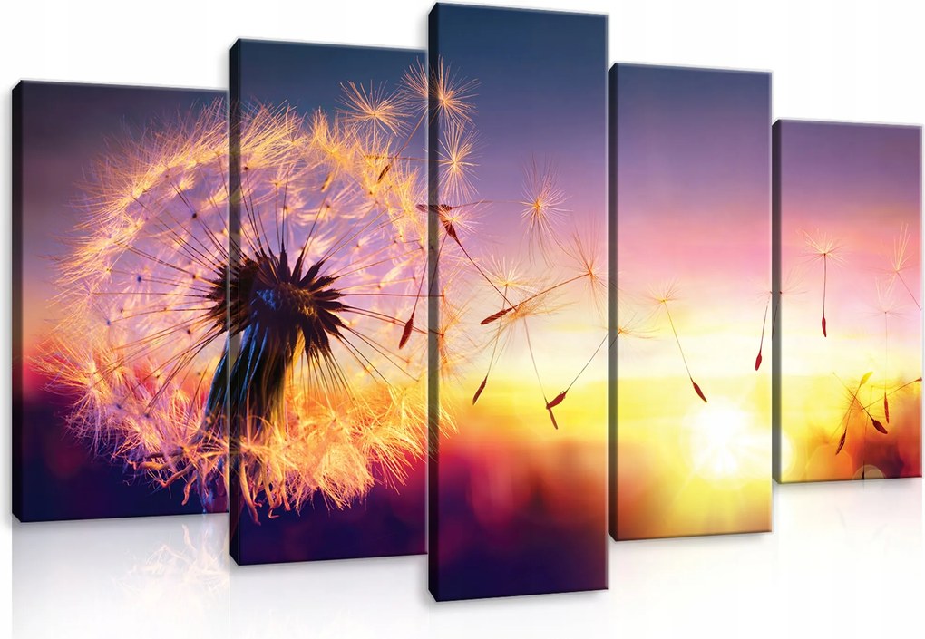 Vászonkép Pitypang 5 Részes Vászon Fal Hálószoba Nappali 100x60