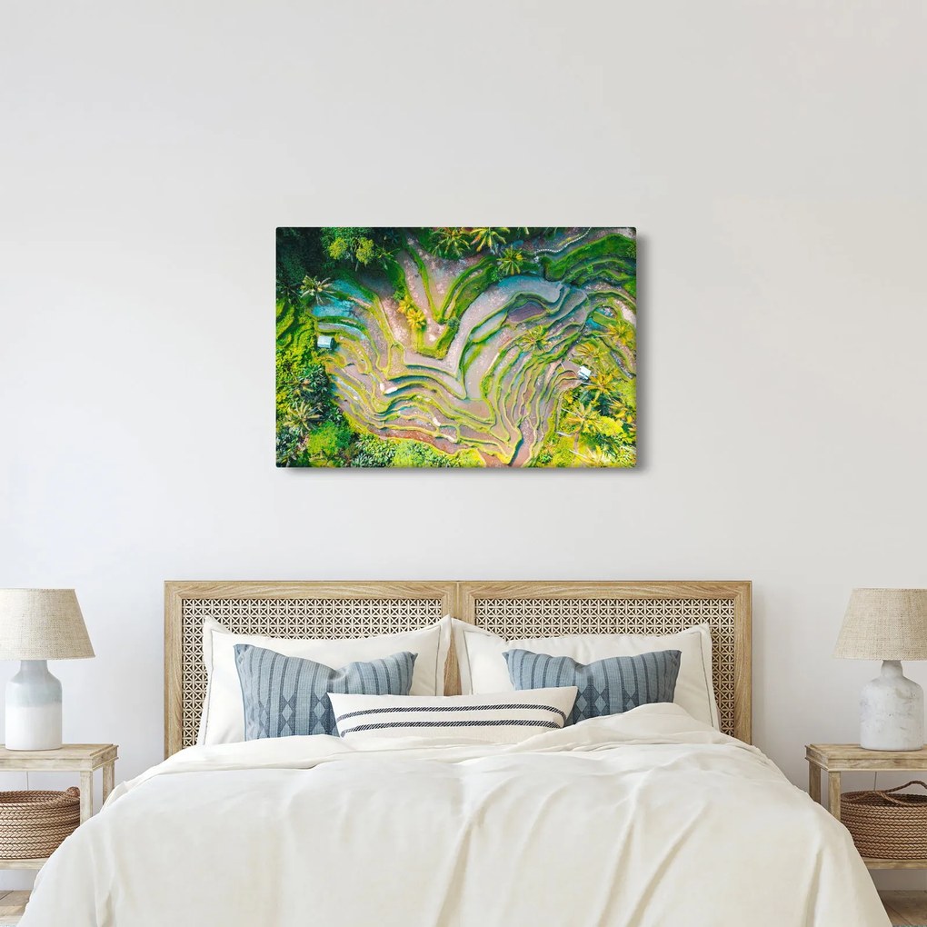 A rizsföldek képe madártávlatból (90x60 cm)