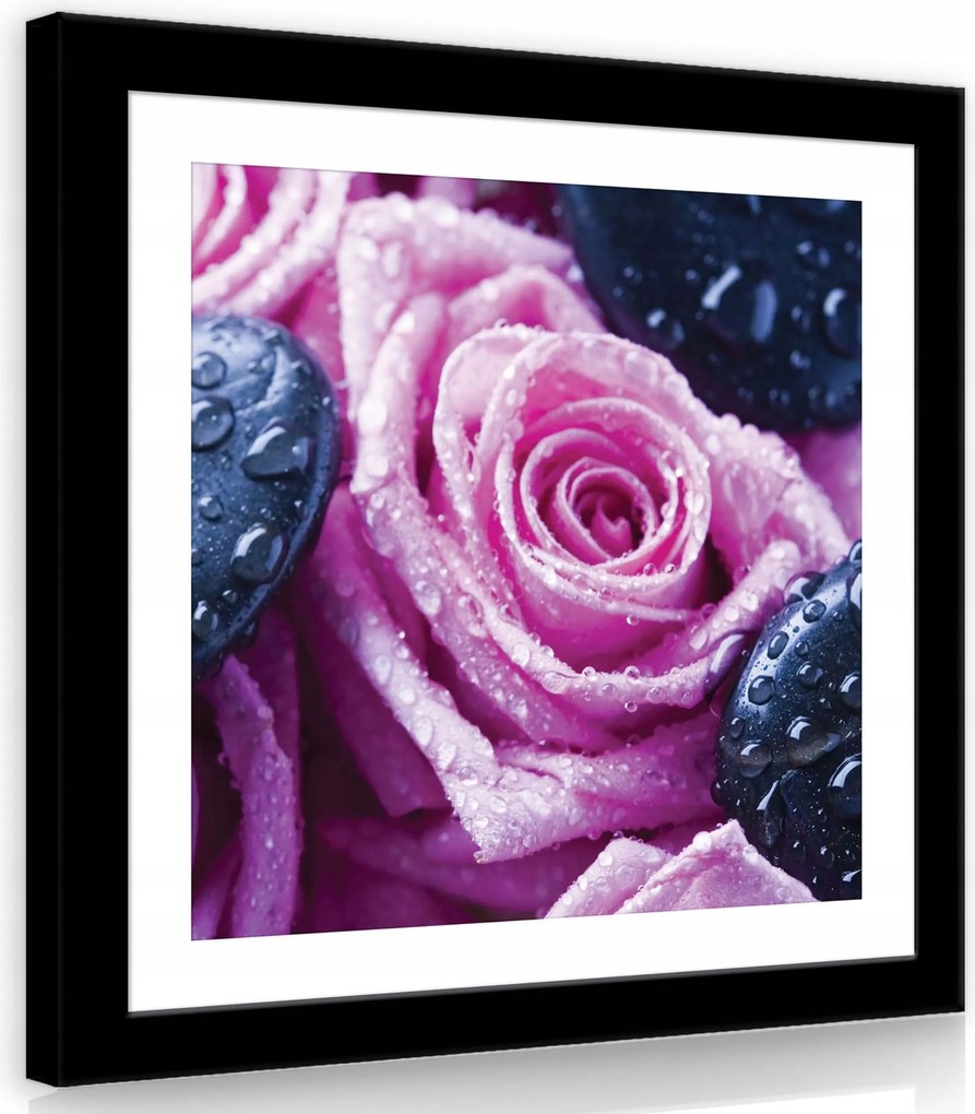 Vászonkép 40x40 Tea rózsák vízcseppek kövek frissesség nyugalom virágok