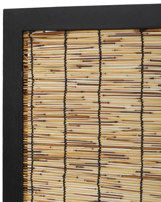 Barna Paraván. EF-L174 BK