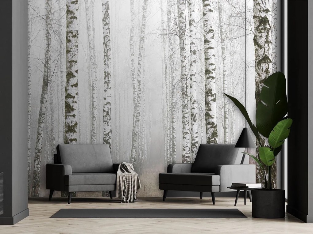 Gario Fotótapéta Nyírfaerdő a ködben Anyag: Vlies, Méret: 100 x 70 cm