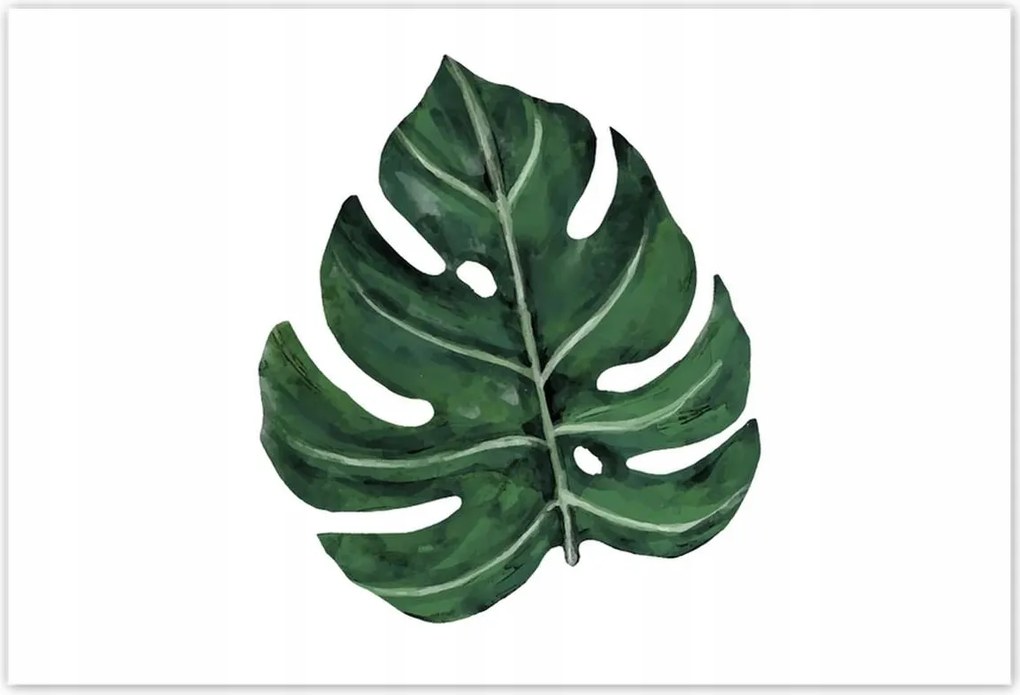 Poszterek 200x135 Monstera Zöld levél