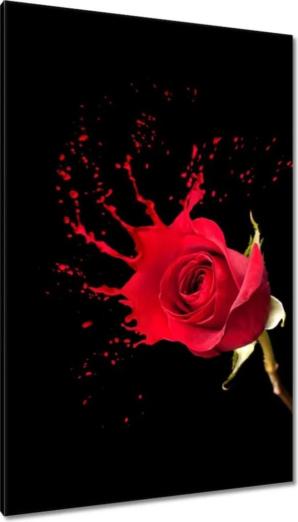 Vászonkép 80x120 Fröccsenő rózsa