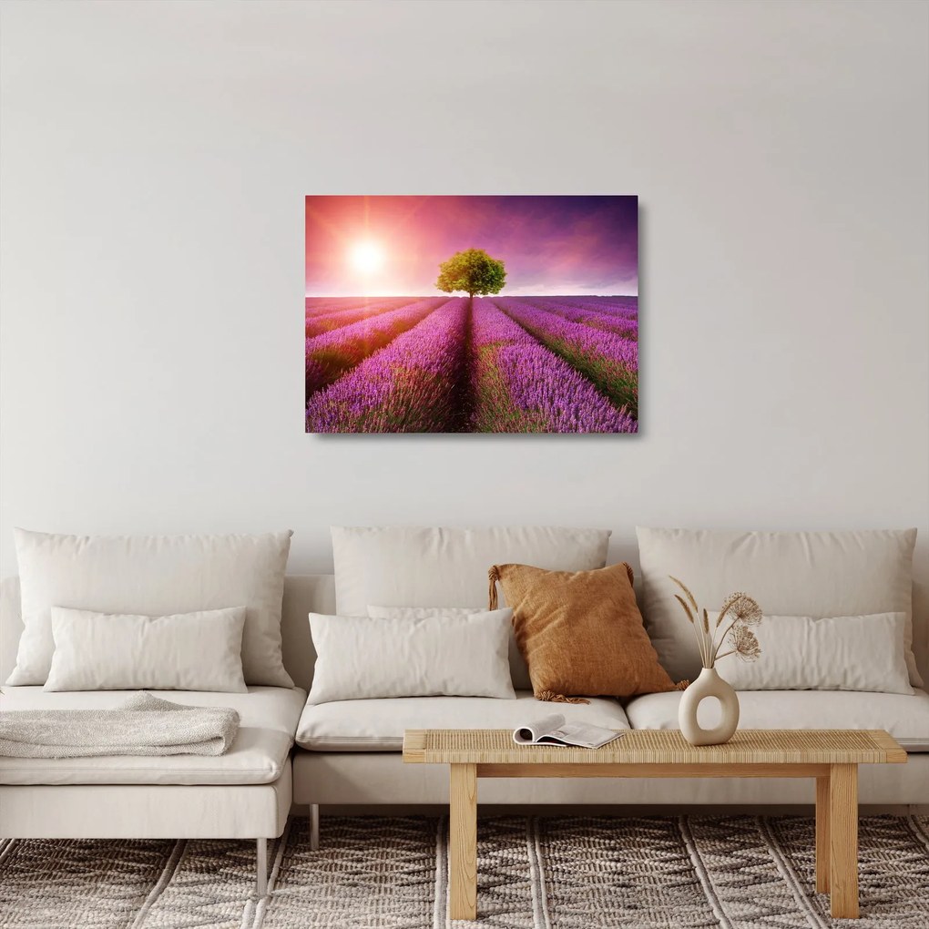Levendula mező képe (üvegen) (70x50 cm)