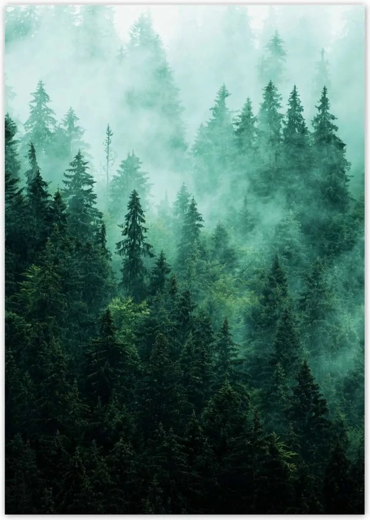 Poszterek A0 Pion Erdő Köd Tájkép Utazás