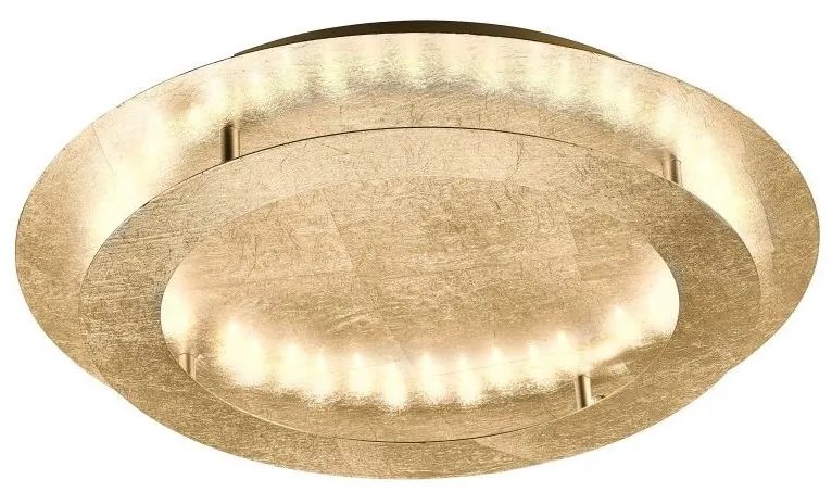 Paul Neuhaus 9621-12 - LED Mennyezeti lámpa NEVIS LED/24W/230V