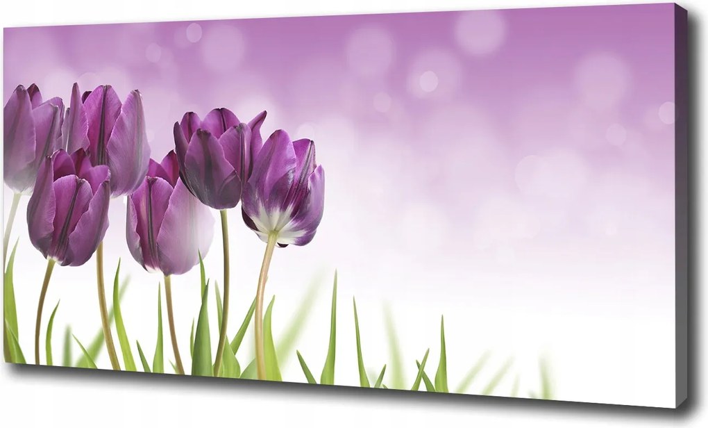 Vászonkép Filc tulipánok 120x60 cm