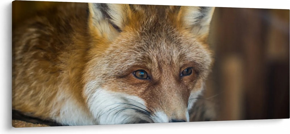 Róka képe (120x50 cm)