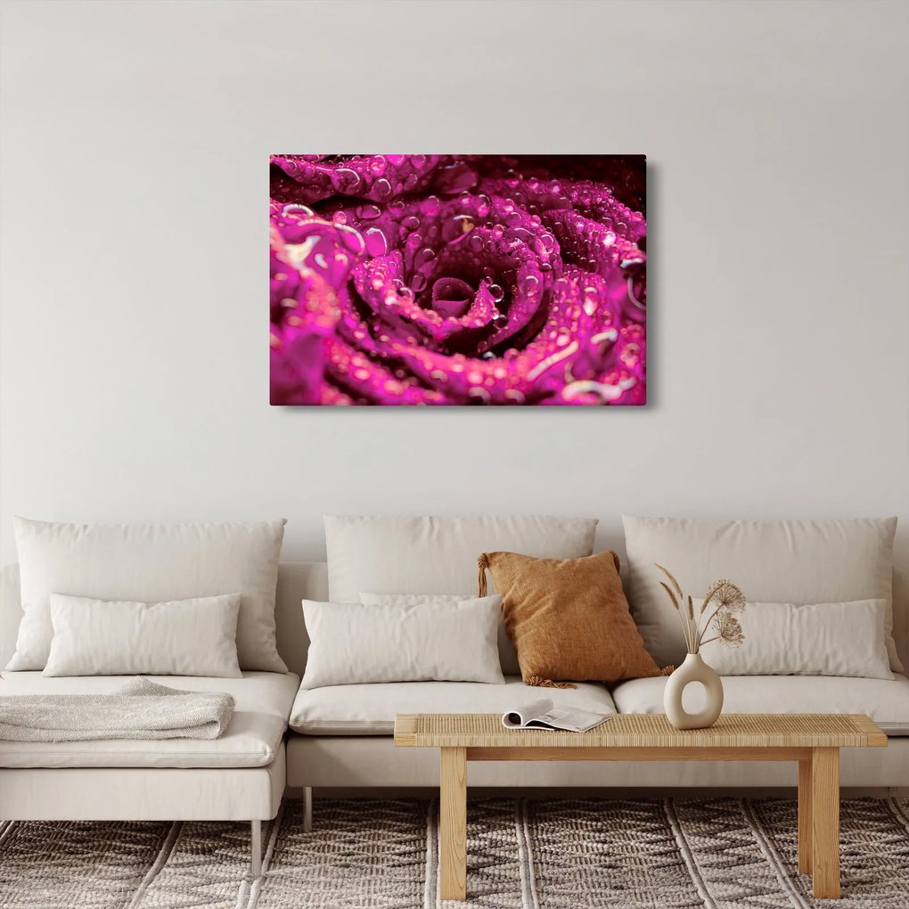 Rózsaszín rózsa virágzata képe (90x60 cm)