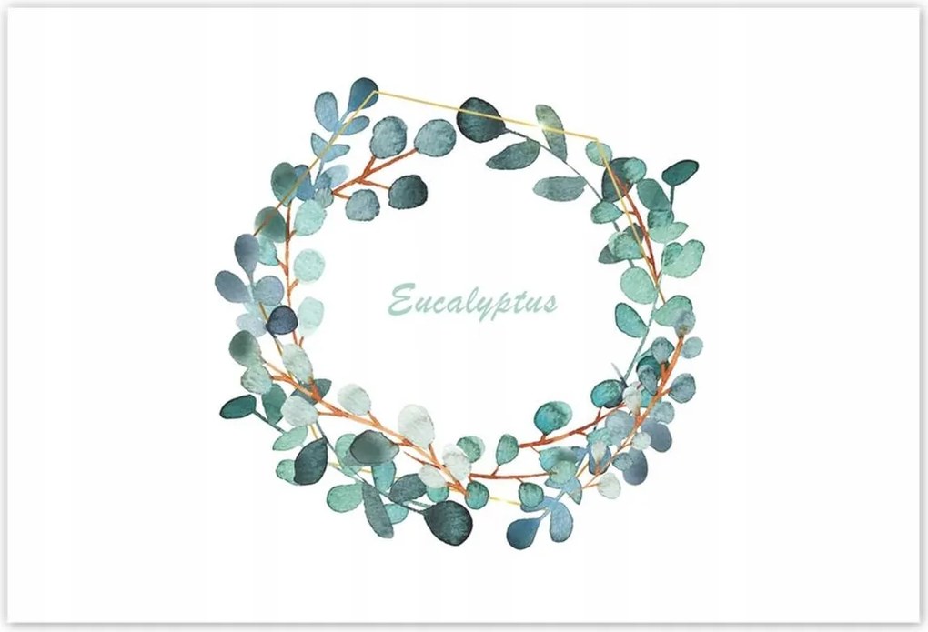 Poszterek 155x105 Eukaliptusz levelek