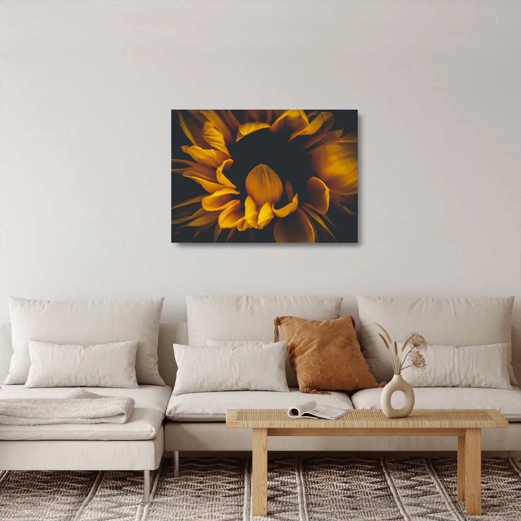 Üveg kép - Napraforgó fekete háttérben (70x50 cm)