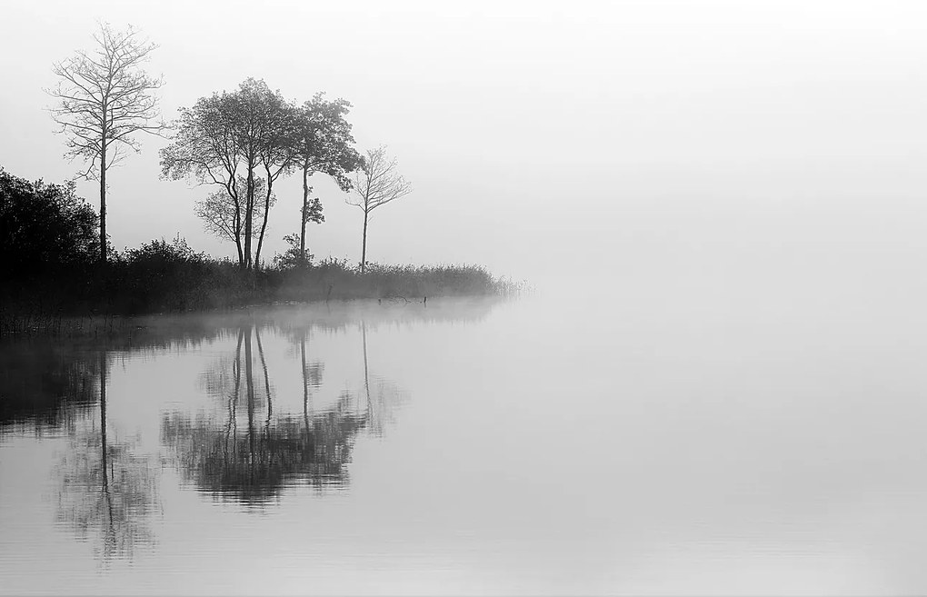 Dekoria Vászonkép By the Lake I