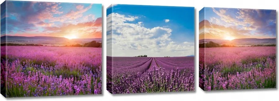 Képek Triptichonok 3x 30x30 Levendula kilátás