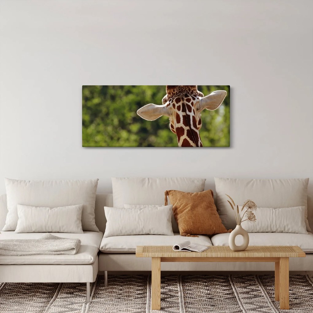 A zsiráf képe hátulról (120x50 cm)