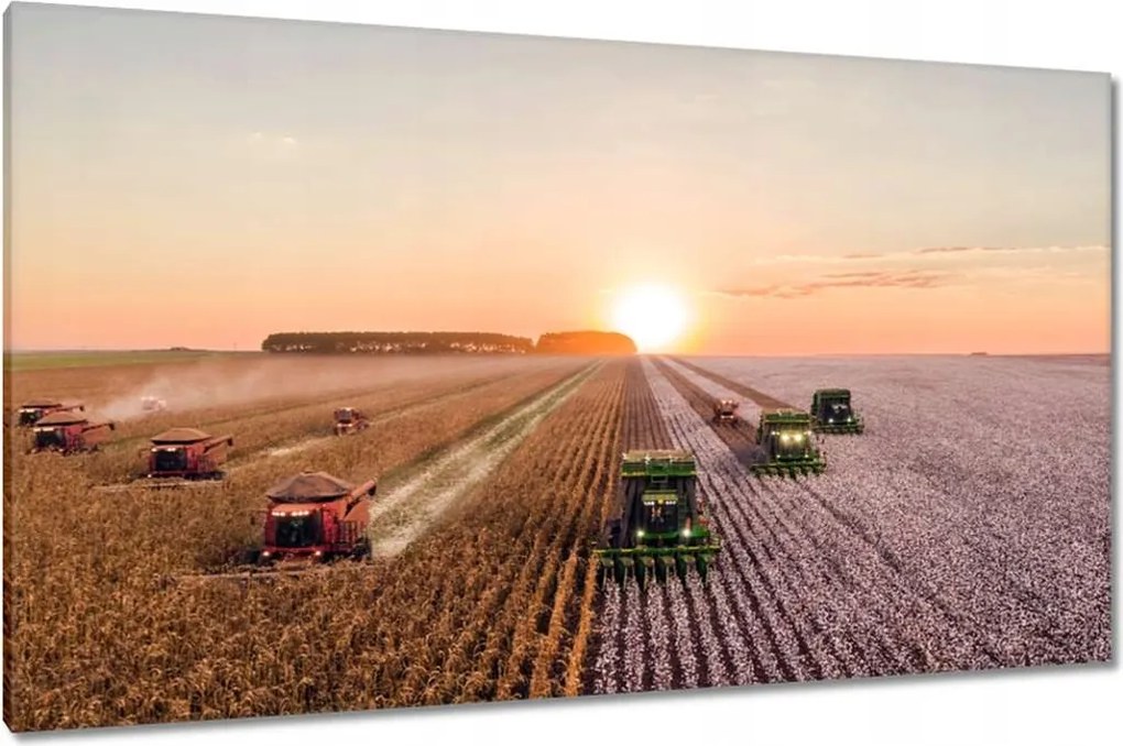 Vászonkép 120x70 Aratás Mezőgazdaság Kombájn
