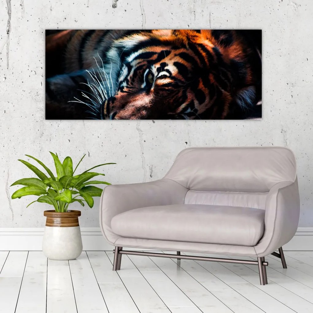 Egy fekvő tigris képe (120x50 cm)