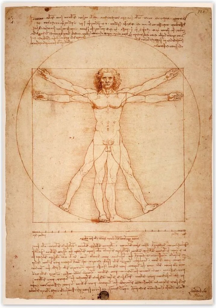 Poszterek 70x100 Vitruvius ember