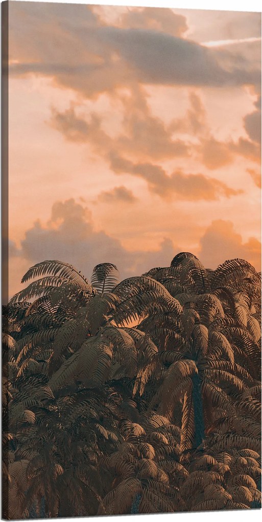 Vászonkép Fák Naplemente Felhők Ég 60x120 cm