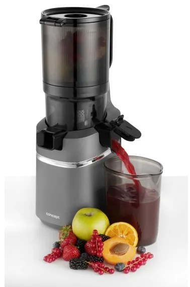 Concept LO7120 - Lassú facsaró JUICY 250W/230V szürke