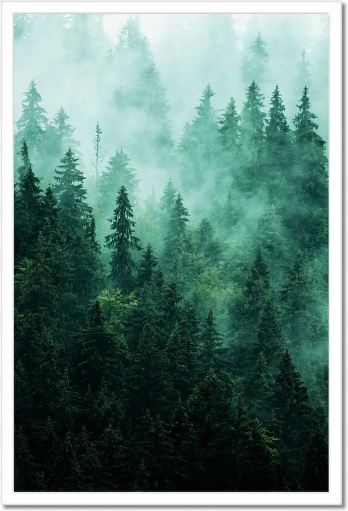 Poszter fehér keretben 40x60 Erdő Köd Tájkép Utazás