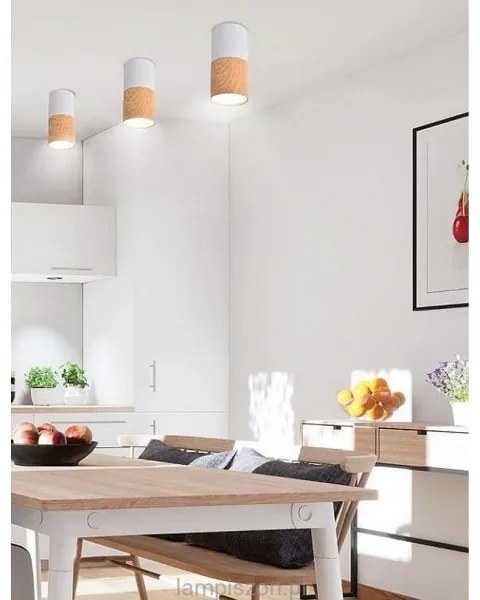 Mennyezeti lámpa TUBA 1xGU10/50W/230V fehér