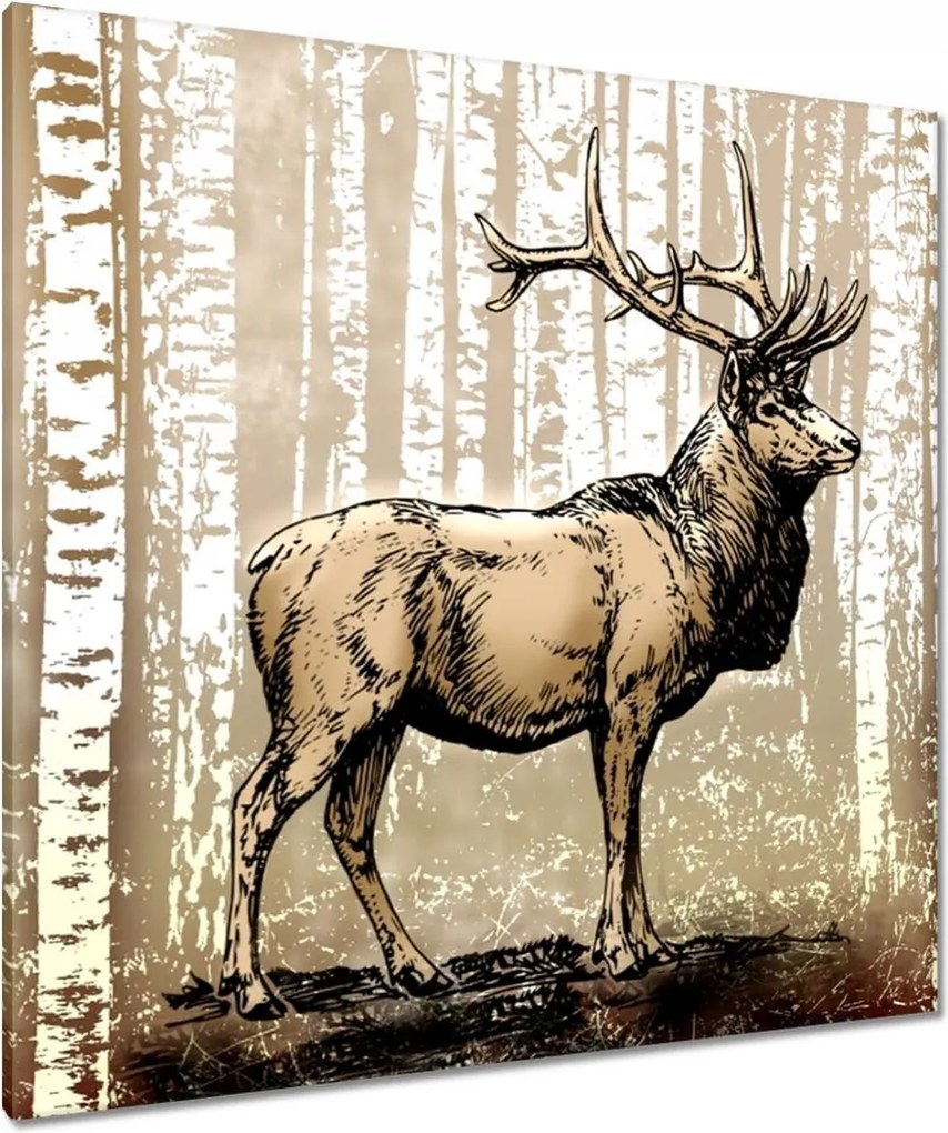 Vászonkép 90x90 Szarvas Nyírfa Erdő