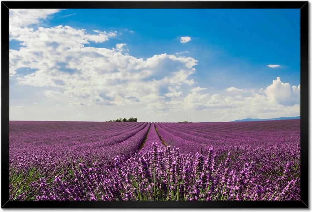 Poszter keretben 60x40 Levendula mező Levendula