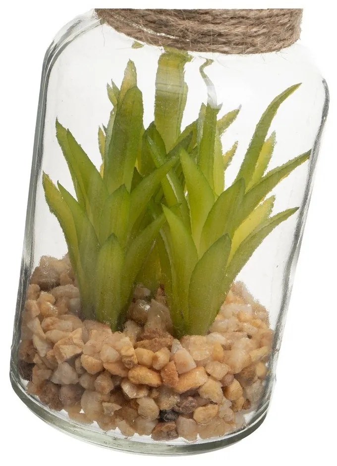 Műnövény szett 4 db-os (magasság 12 cm) Cactus – Casa Selección