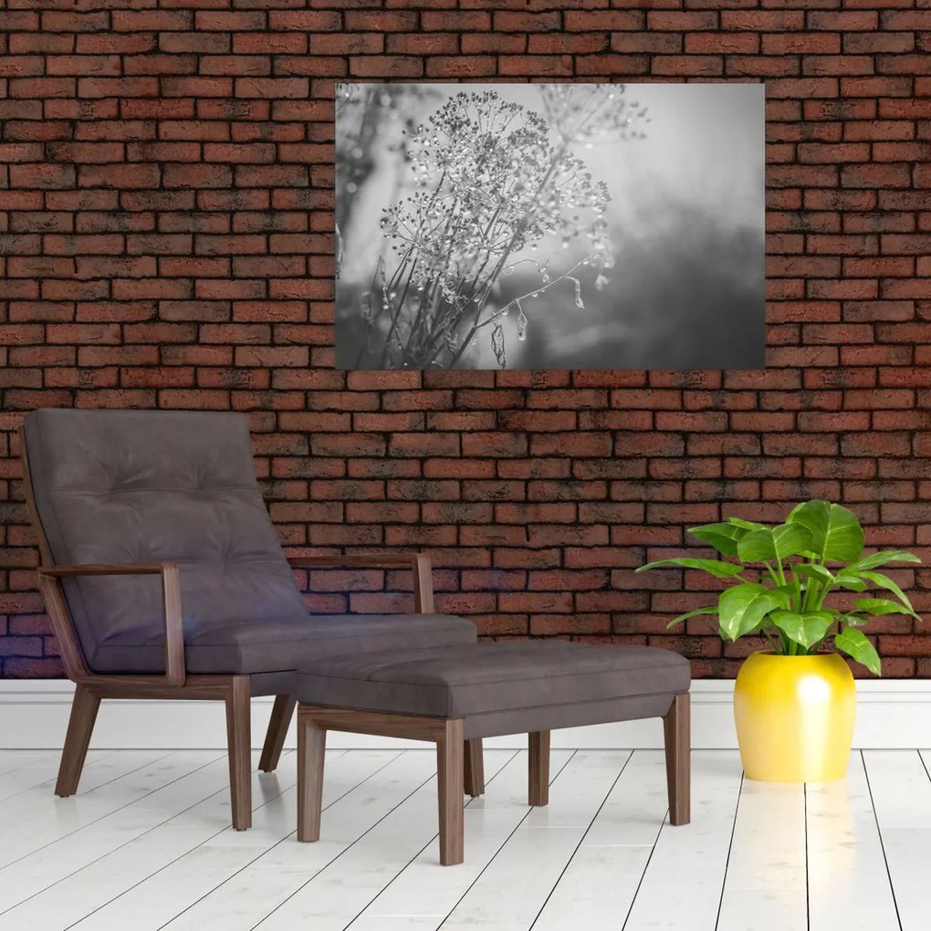 Kép - Mező az eső után (90x60 cm)