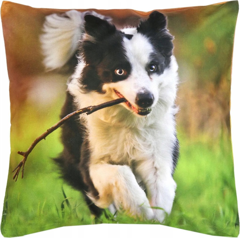 Párnahuzat 40x40 Dekoratív Kutya