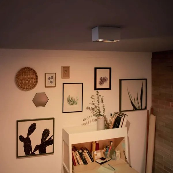 Philips 50492/31/P0-LED Dimmelhető spotlámpa MYLIVING BOX 2xLED/4,5W/230V