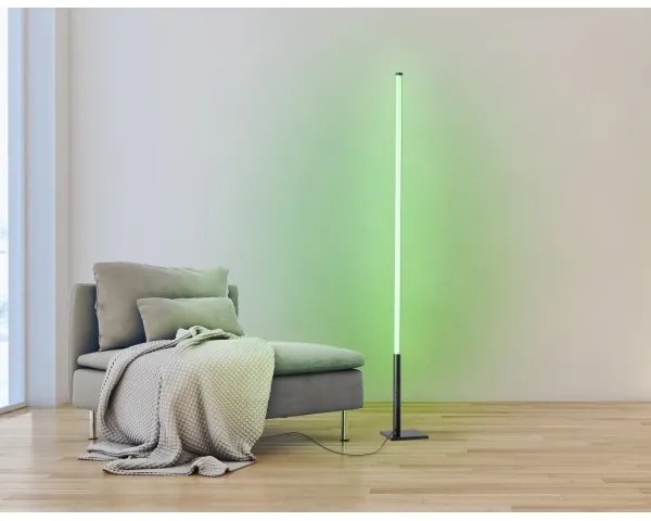 Eglo 75654 - LED RGB Dimmelhető állólámpa LED/13,5W/230V 2700-6500K + távirányító