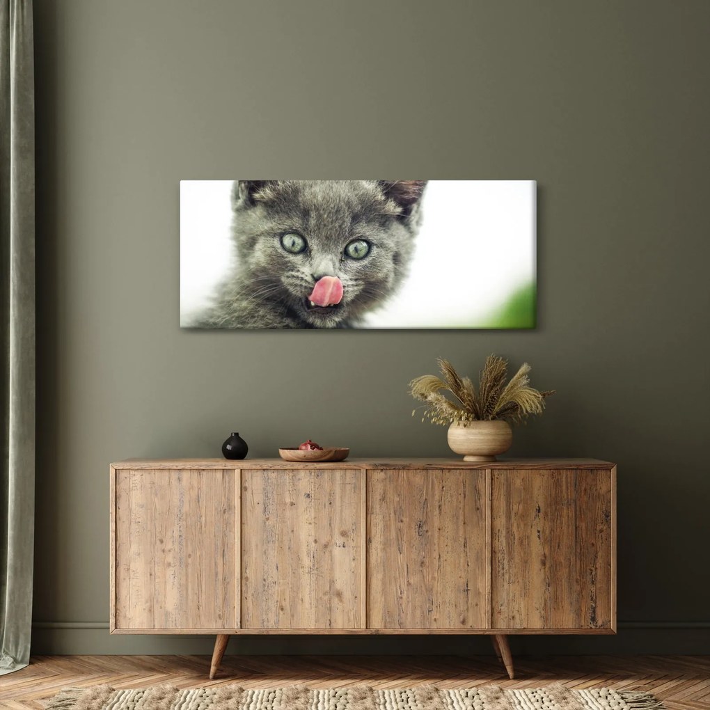 Nyaló cica képe (120x50 cm)