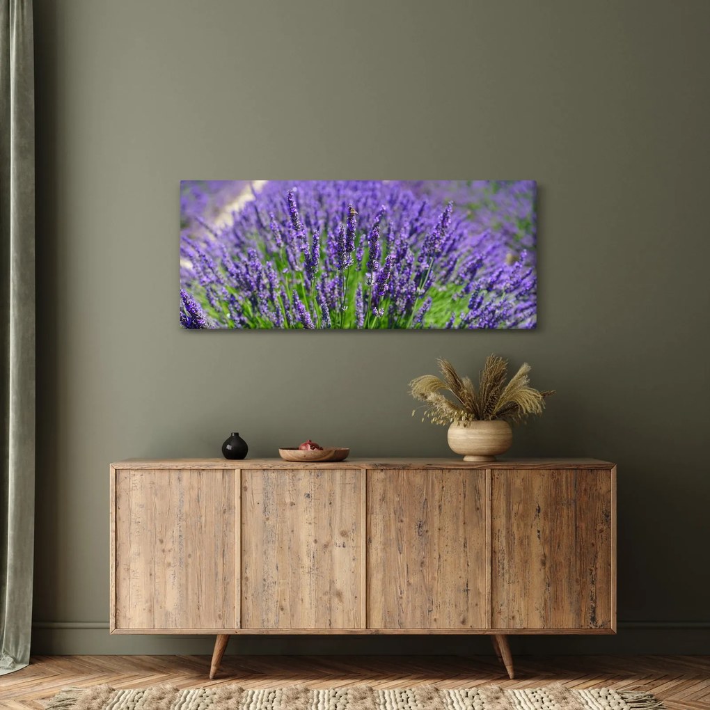 Kép - levandula (120x50 cm)
