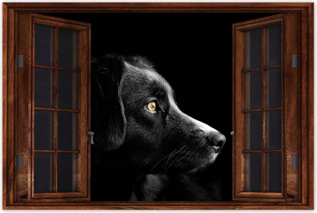 Poszterek 60x40 Négylábú barát