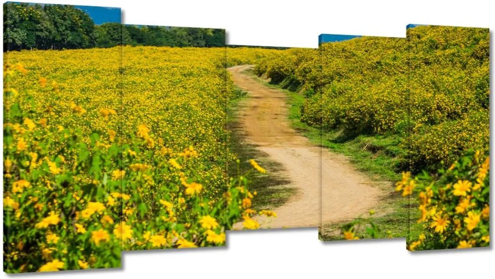 Festmények 150x80 Vidéki tejút