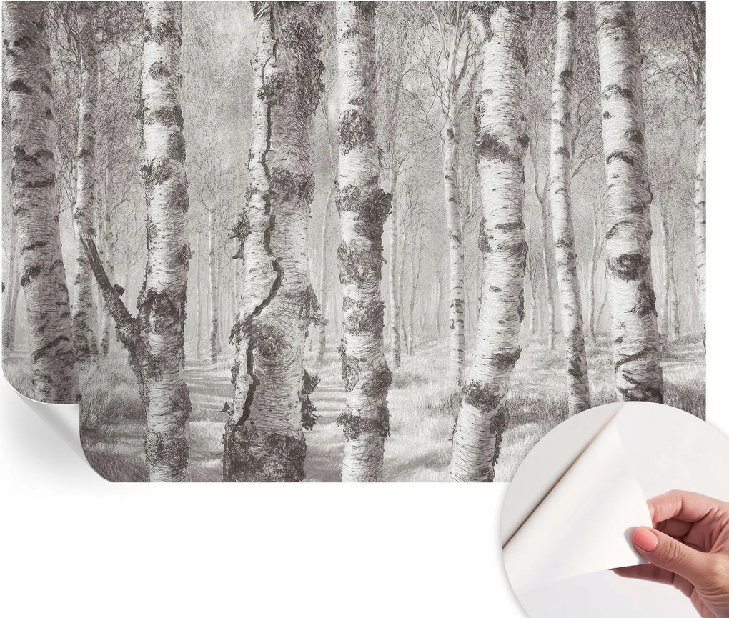 Fotótapéta Dekoratív Fali Tapéta Képekkel Nyírerdő 152x104