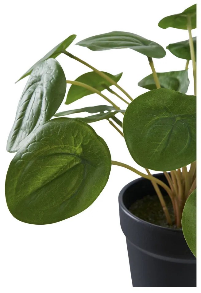 Pilea műnövény 28 cm