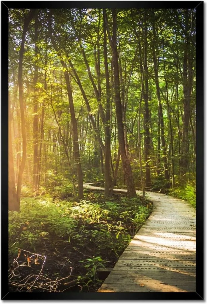 Poszterek keretben 40x60 Napsugár a sétán