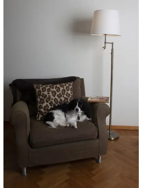 ByRydens 1988780-5504-LED ORLANDO állólámpa 1xE27/5W/230V+LED/3W fehér/bronzz