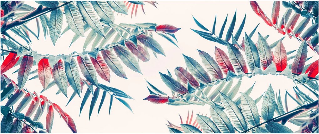 Kép - Trópusi levelek (120x50 cm)