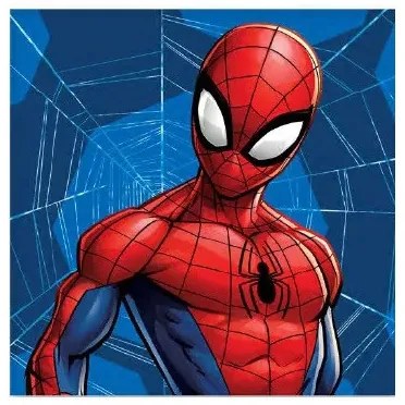 Pókember Web kéztörlő, arctörlő, törölköző 30x30cm